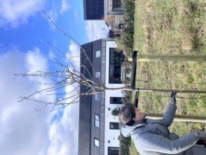 Samen Het Onderdijks - Boomgaard De Terpen